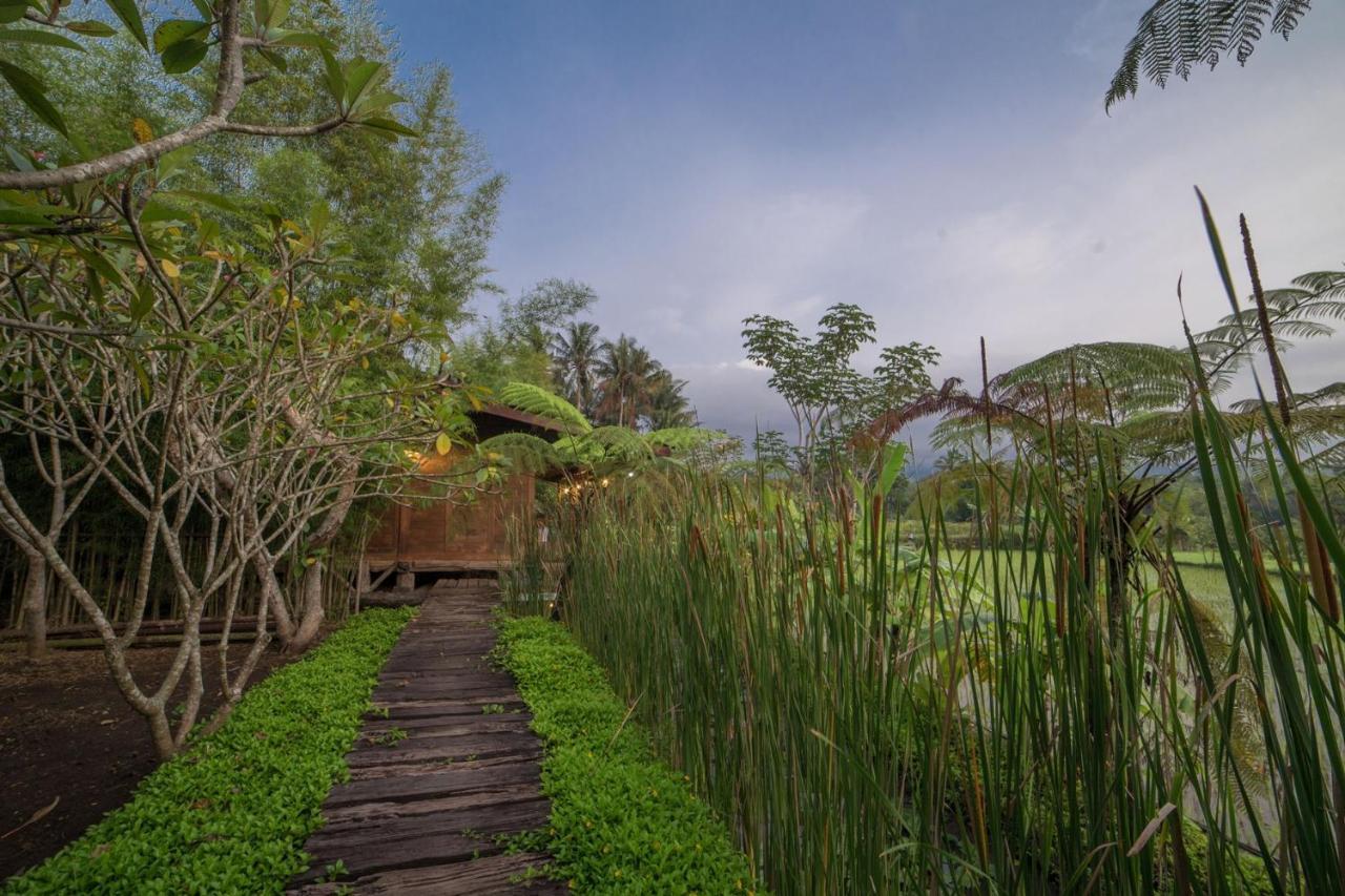 Rumah Jembarati Tjangkringen 外观 照片