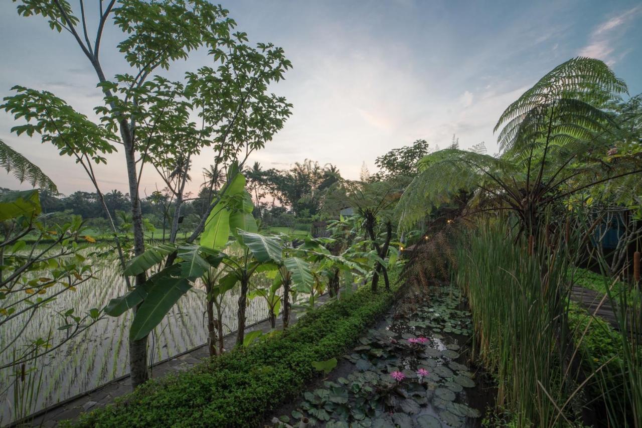 Rumah Jembarati Tjangkringen 外观 照片