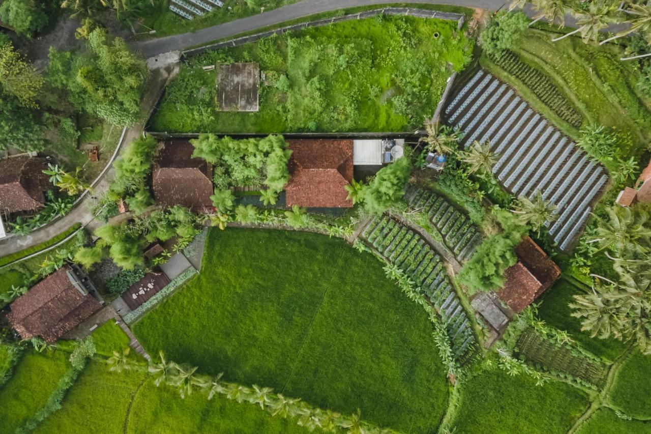 Rumah Jembarati Tjangkringen 外观 照片