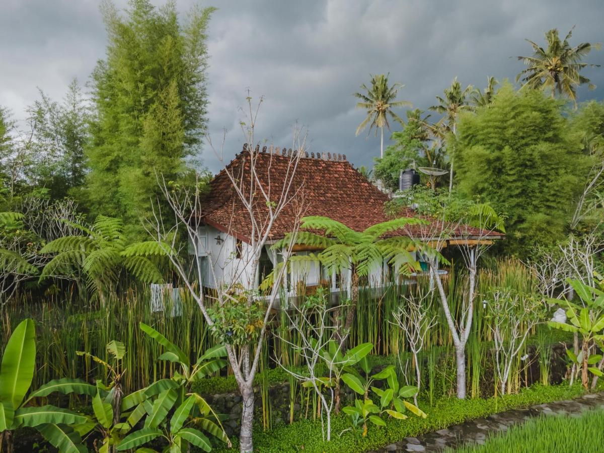 Rumah Jembarati Tjangkringen 外观 照片